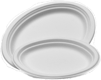 Wood Pulp Oval Plate - Small 10" x 7.5"